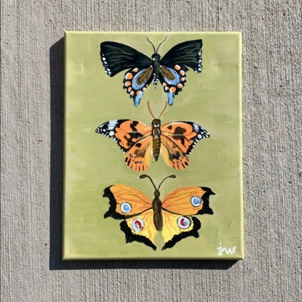 butterflies 🦋